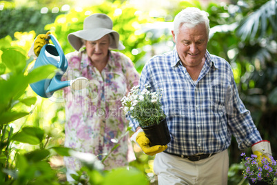 Senior couple with watering can and flower pots