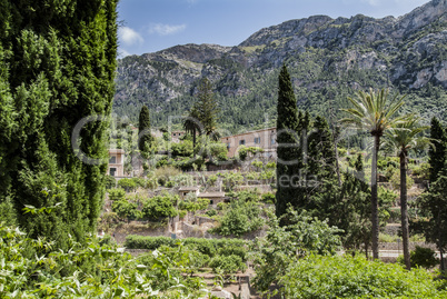 Berg Landschaft auf Mallorca