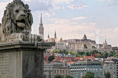 A lion of the Szechenyi Chain Bridge in Budapest, Hungary