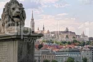 A lion of the Szechenyi Chain Bridge in Budapest, Hungary