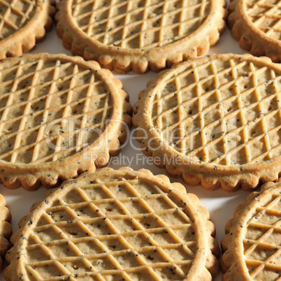 Background of biscuits in shape of circle