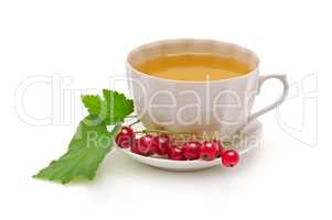Currant tea isolated on white