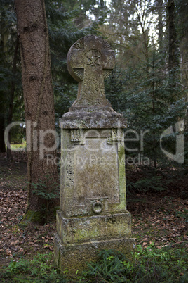 Overgrown grave stone