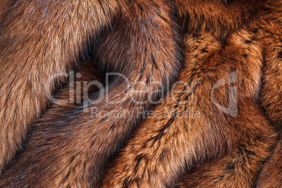 natural fur closeup