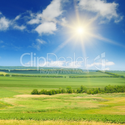 green field and sun on blue sky