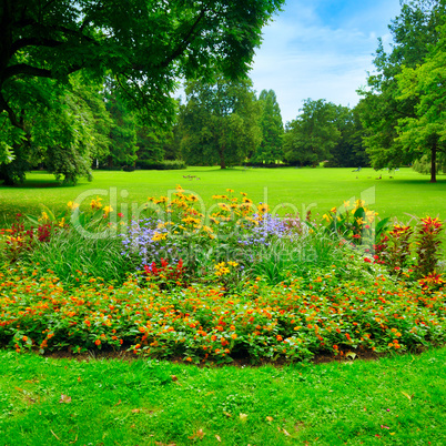 summer park with beautiful flowerbeds