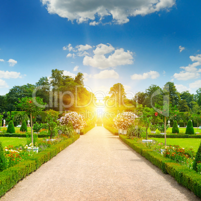 summer park with beautiful flowerbeds