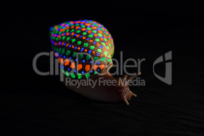 Snail with glowing colorful speckled shell