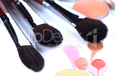 Professional brushes for applying blush