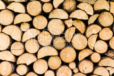 Firewood Background