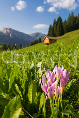 Idyllic mountain landscape