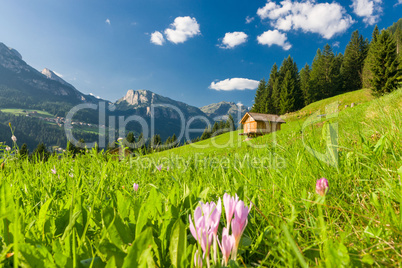 Idyllic mountain landscape