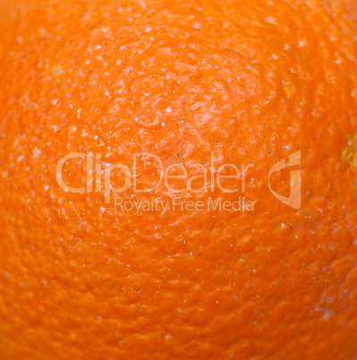 Orange fruit (Citrus)