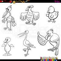 birds cartoon coloring page