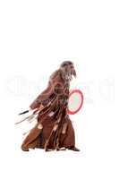 Shaman with tambourine, isolated on white