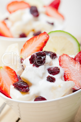 fruit and yogurt salad healthy breakfast