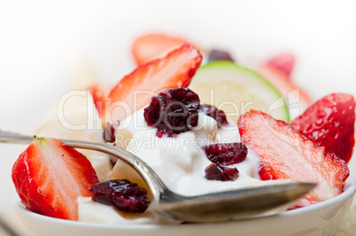 fruit and yogurt salad healthy breakfast