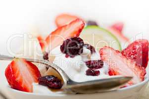 fruit and yogurt salad healthy breakfast