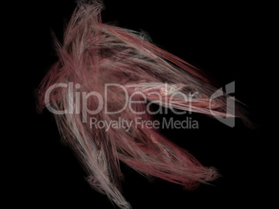 image of one Digital Fractal on Black Color image of one Digital Fractal on Black Color