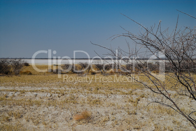 Landschaft in Afrika Namibia