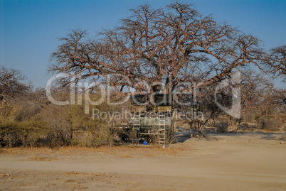 Landschaft in Afrika Namibia