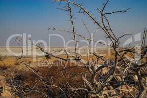 Landschaft in Afrika Namibia