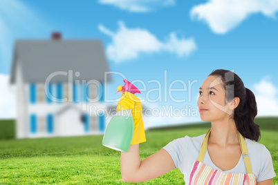 Composite image of young woman spraying cleaner