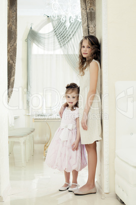 Image of beautiful sisters posing in restaurant