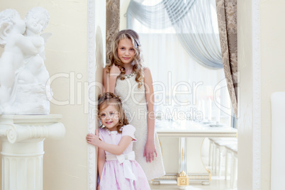 Funny sisters posing in elegant dresses