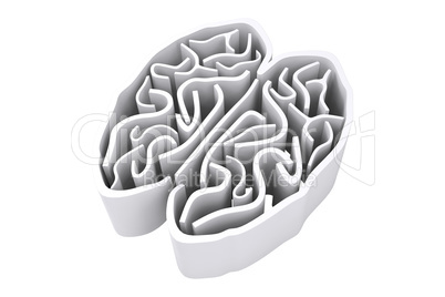 Composite image of brain maze