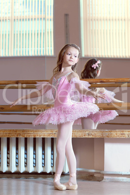 Image of petite ballerina posing in pink tutu