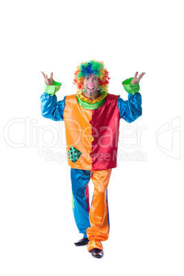 Cheerful clown posing in costume and colorful wig