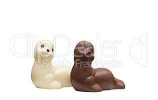 Two chocolate seals isolated on white backdrop