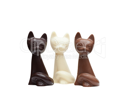 cute cats made from different kinds of chocolate