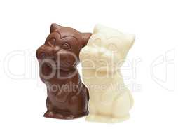 Image of delicious chocolate cats, close-up