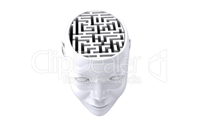 Maze as brain Maze as brain