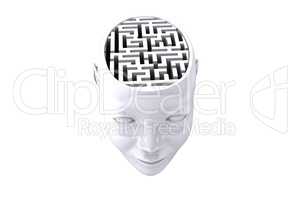 Maze as brain