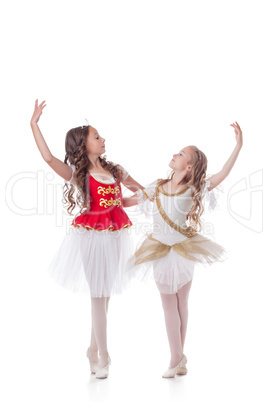 Beautiful young ballerinas dancing in pair