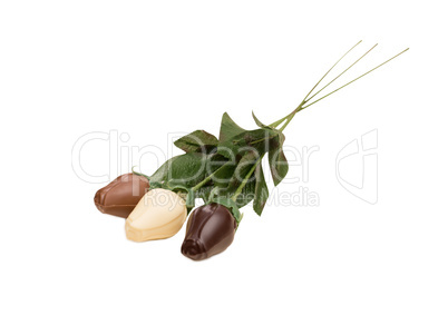 Three chocolate roses isolated on white backdrop