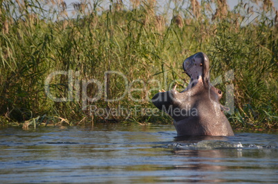 Namibia 10