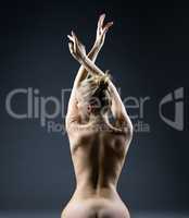 Rear view of graceful naked woman posing in studio