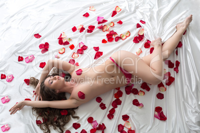 Top view of tempting beauty in bed with petals
