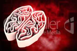 Composite image of brain maze