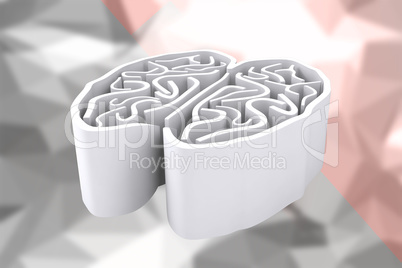 Composite image of brain maze
