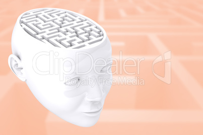 Composite image of maze as brain