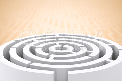 Composite image of circle maze