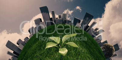 Composite image of little green seedling with leaves growing