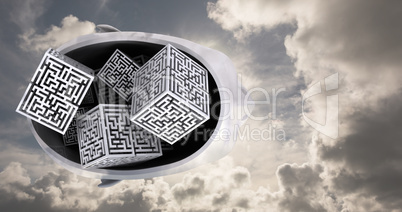 Composite image of maze as brain