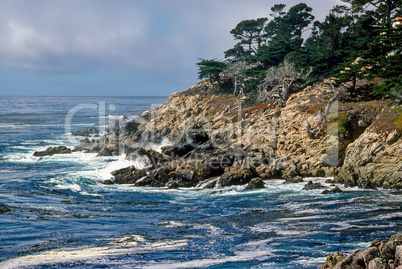 Point Lobos