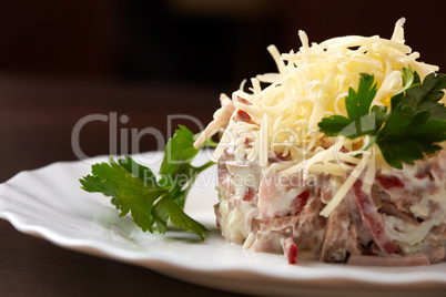 Studio snapshot of meat salad with grated cheese